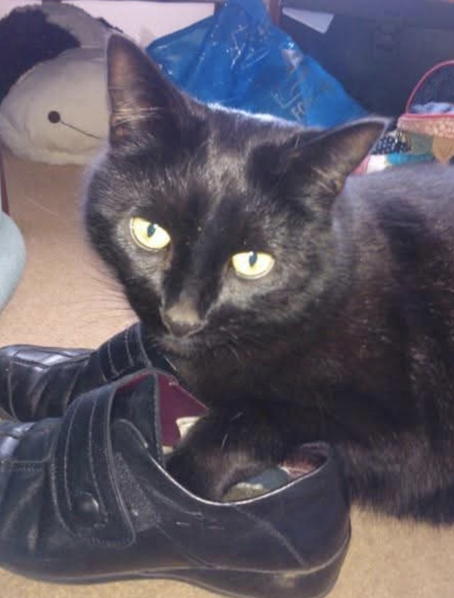 Vikki Sewell tweet media