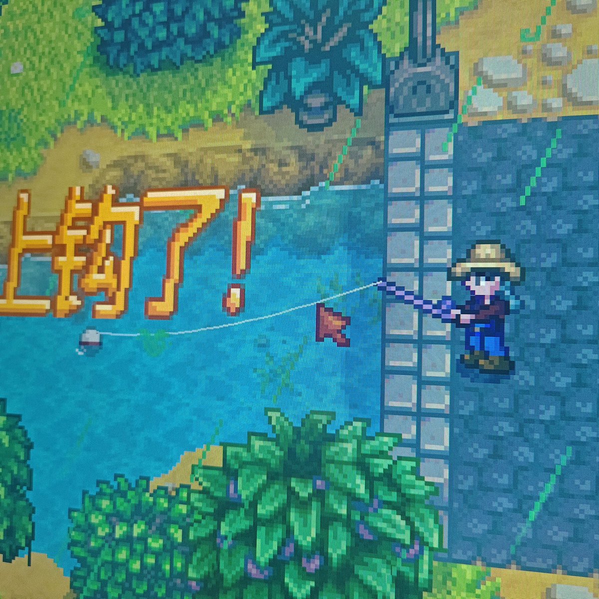 桃桃桃 tweet media