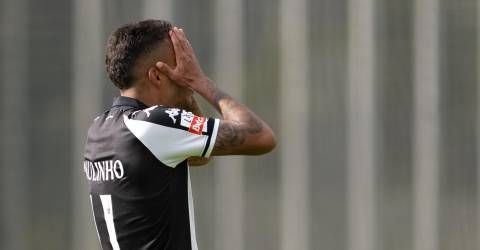 JM MADEIRA tweet media