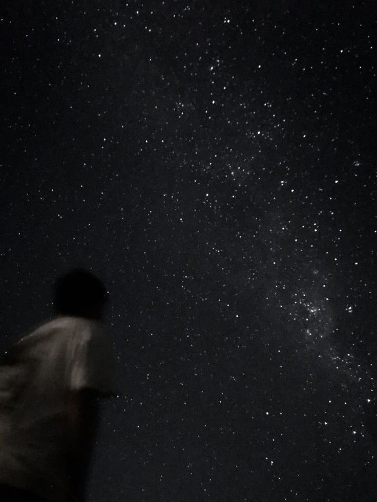 Stargirl tweet media