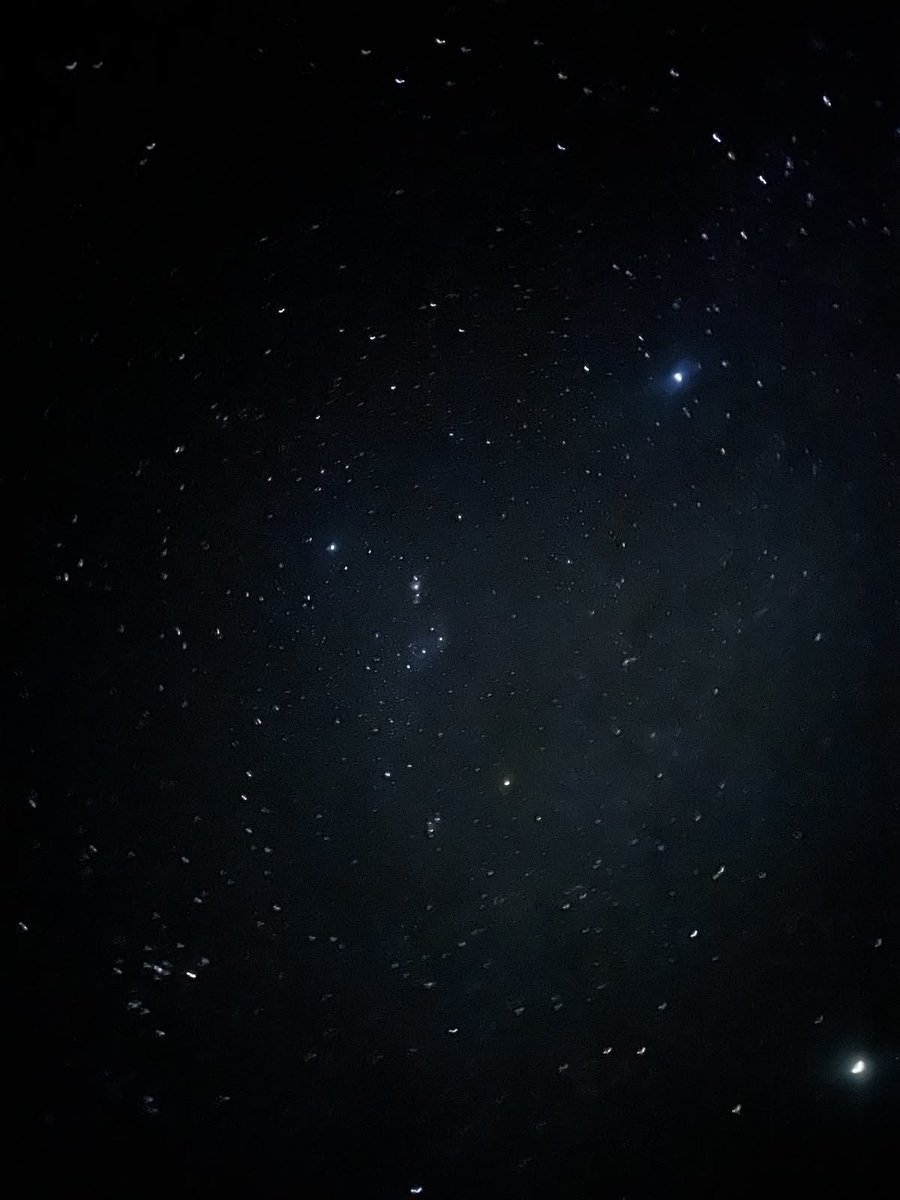 Stargirl tweet media