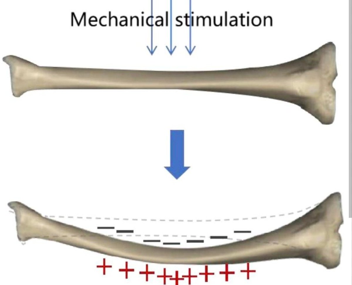 Bruce | True Health Coach tweet media