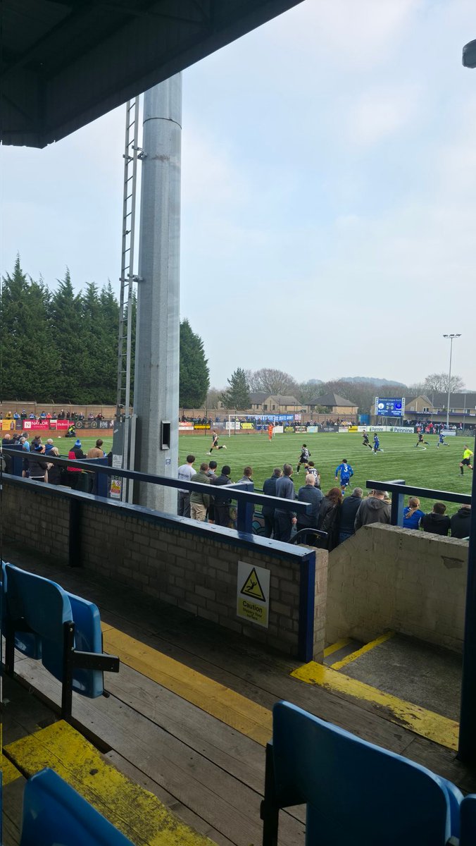 Alex Moore tweet media