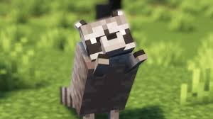 EmSprashu | Emo Raccgirl🦝💋 tweet media