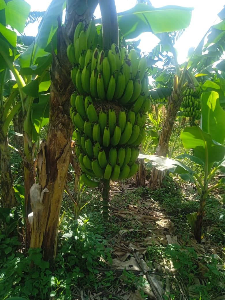 koMa awa😏 tweet media