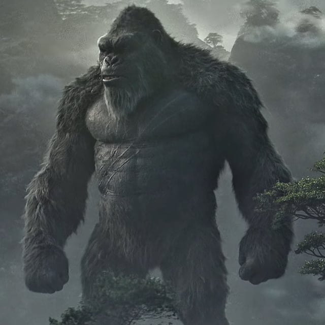 gorillageek27 (ape fan) tweet media