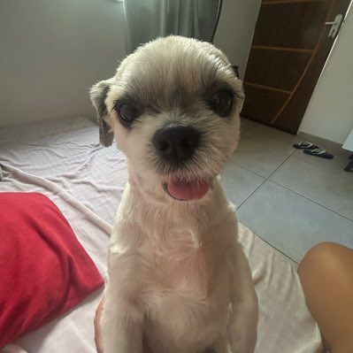 wesleykevin01's tweet photo. #NovaFotoDePerfil https://t.co/wubddGvdju