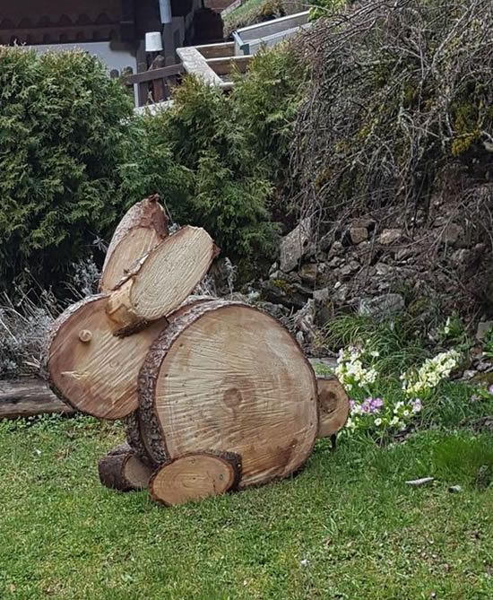 PBE 🦔🌳🐤🐾 tweet media