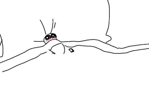 🌱Caro~🌱 tweet media