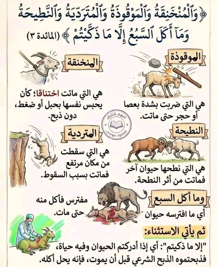 عَائِشَة tweet media