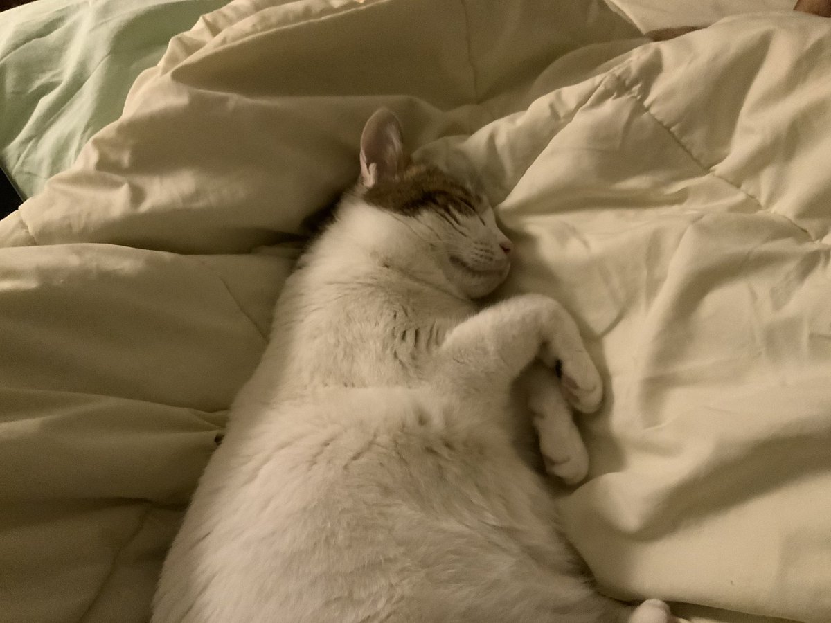 수목이 tweet media