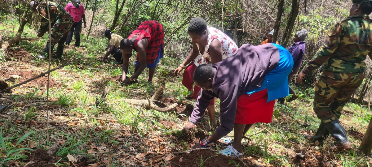 NRFA2015's tweet photo. In celebration of the International Day of Forests, together with Kenya Forest Service we successfully hosted a tree planting activity at the Sanctuary, bringing together partners, institutions, and the local community in a shared commitment to restoring our urban forest. #IDF https://t.co/0Yh0kcmWKO