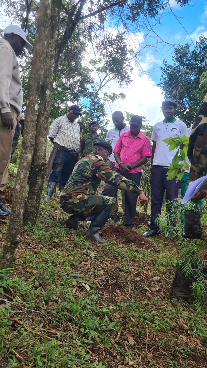 NRFA2015's tweet photo. In celebration of the International Day of Forests, together with Kenya Forest Service we successfully hosted a tree planting activity at the Sanctuary, bringing together partners, institutions, and the local community in a shared commitment to restoring our urban forest. #IDF https://t.co/0Yh0kcmWKO