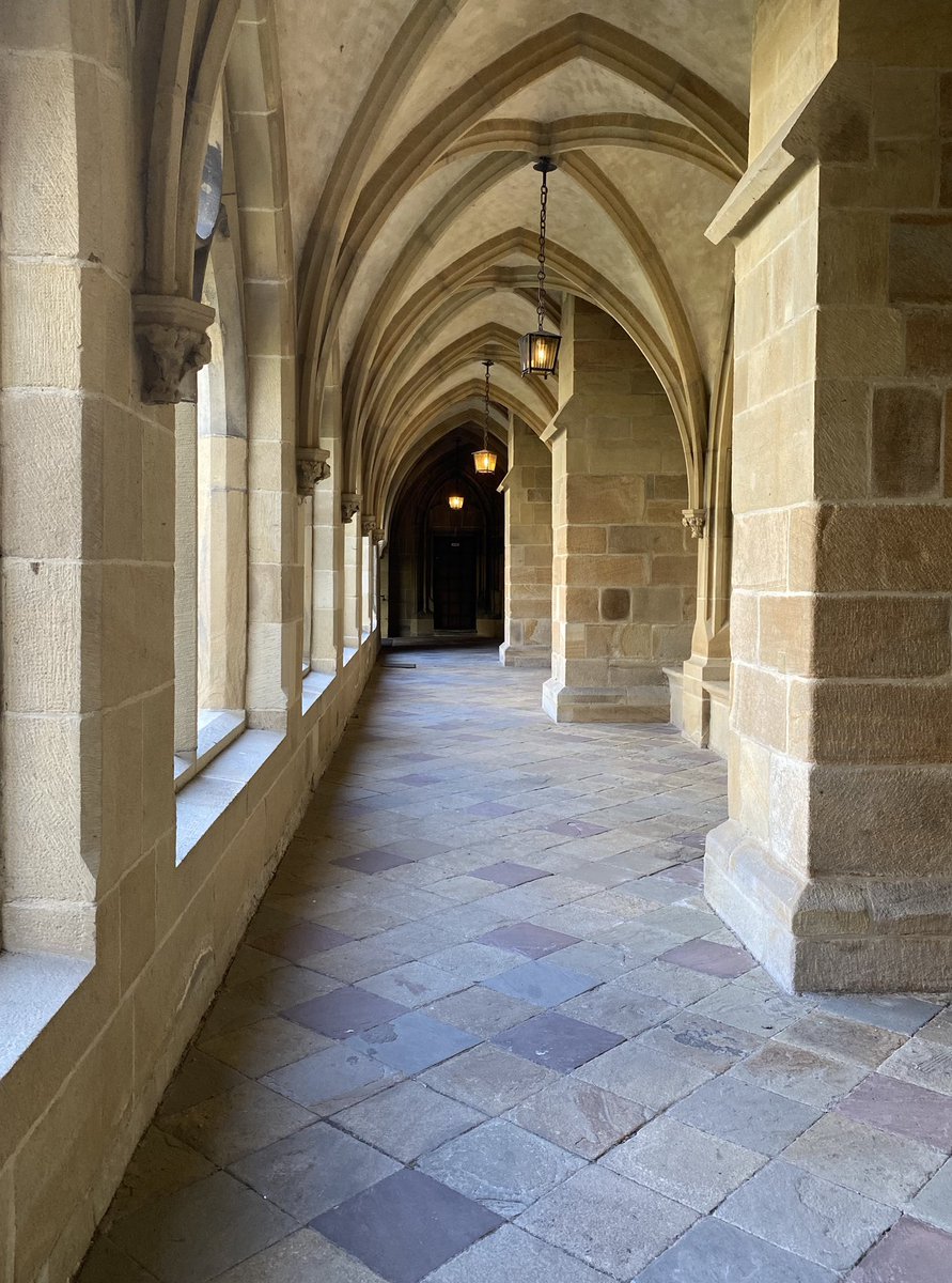 Vanessa 🖍️ tweet media