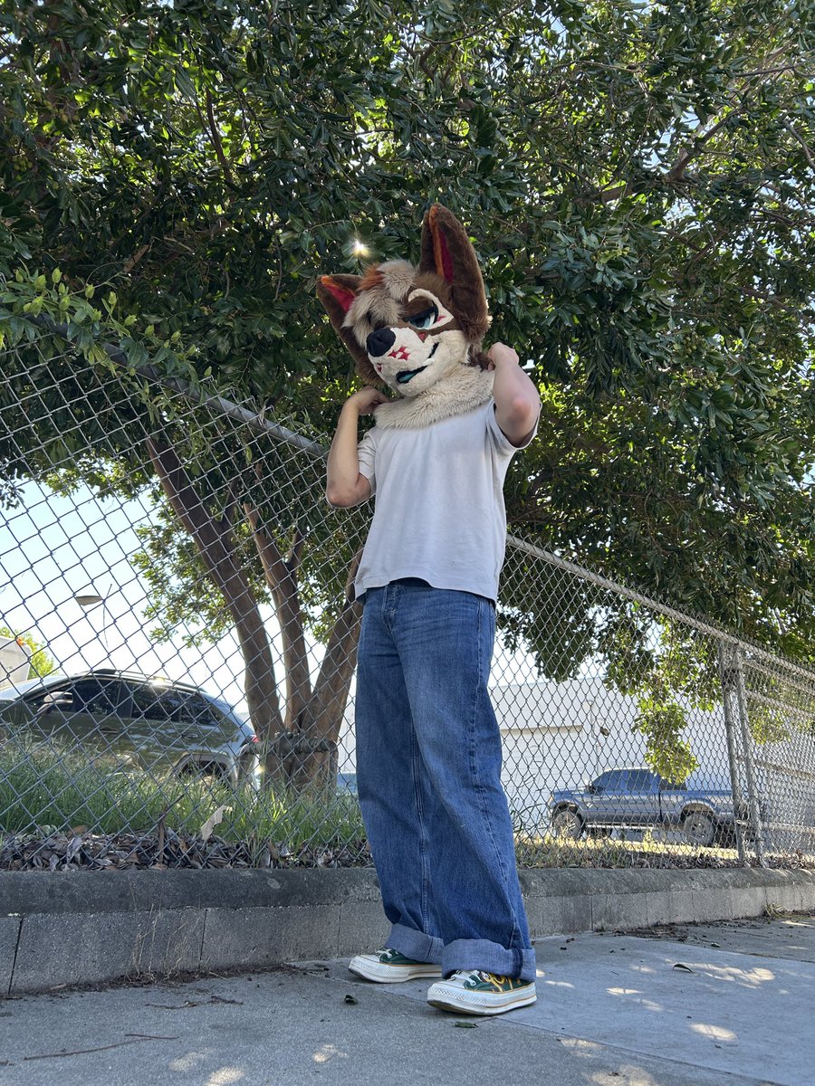 Leuko 🔜 LVFC, FWA tweet media