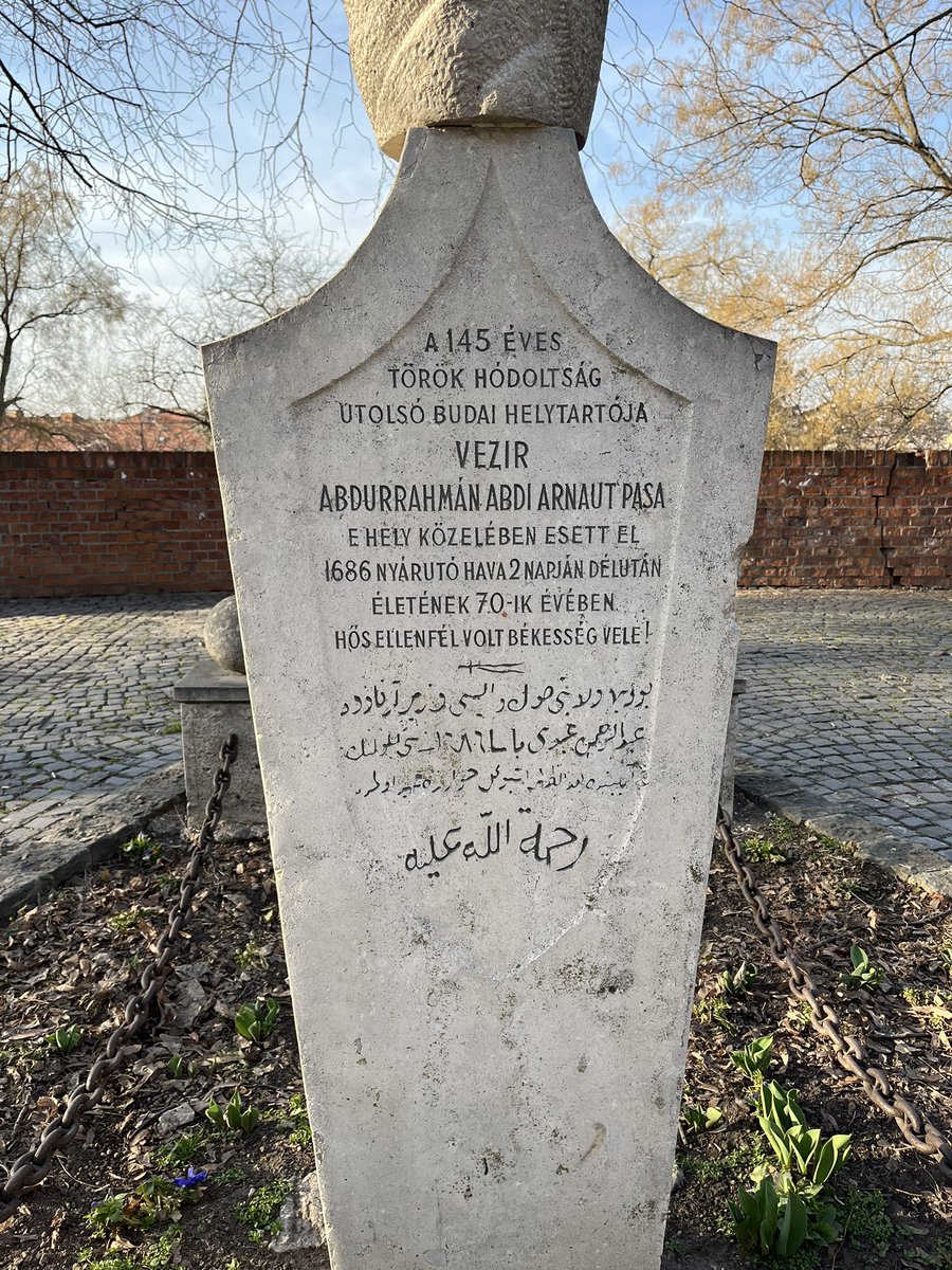 Bojana Selaković tweet media