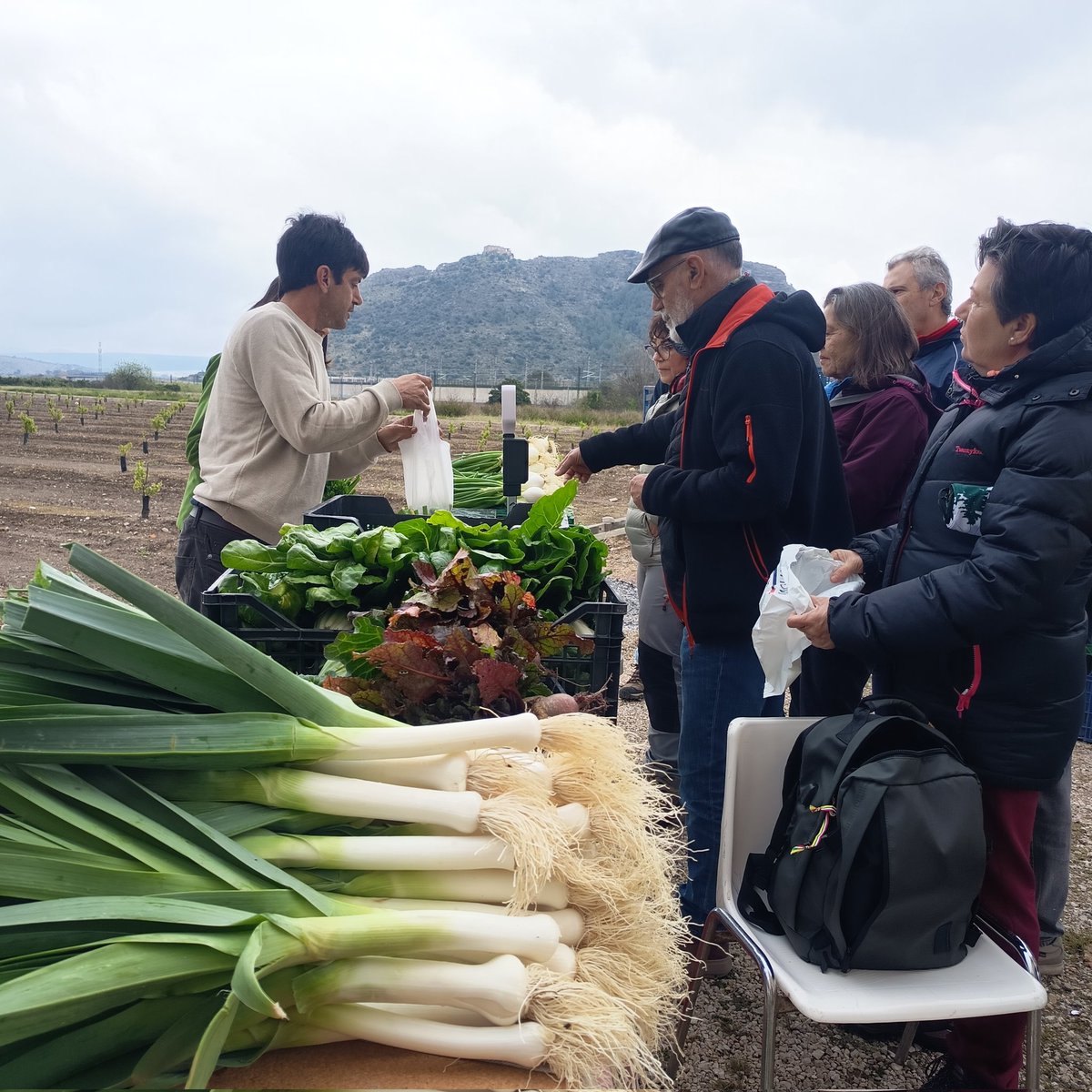 Hardacho tweet media