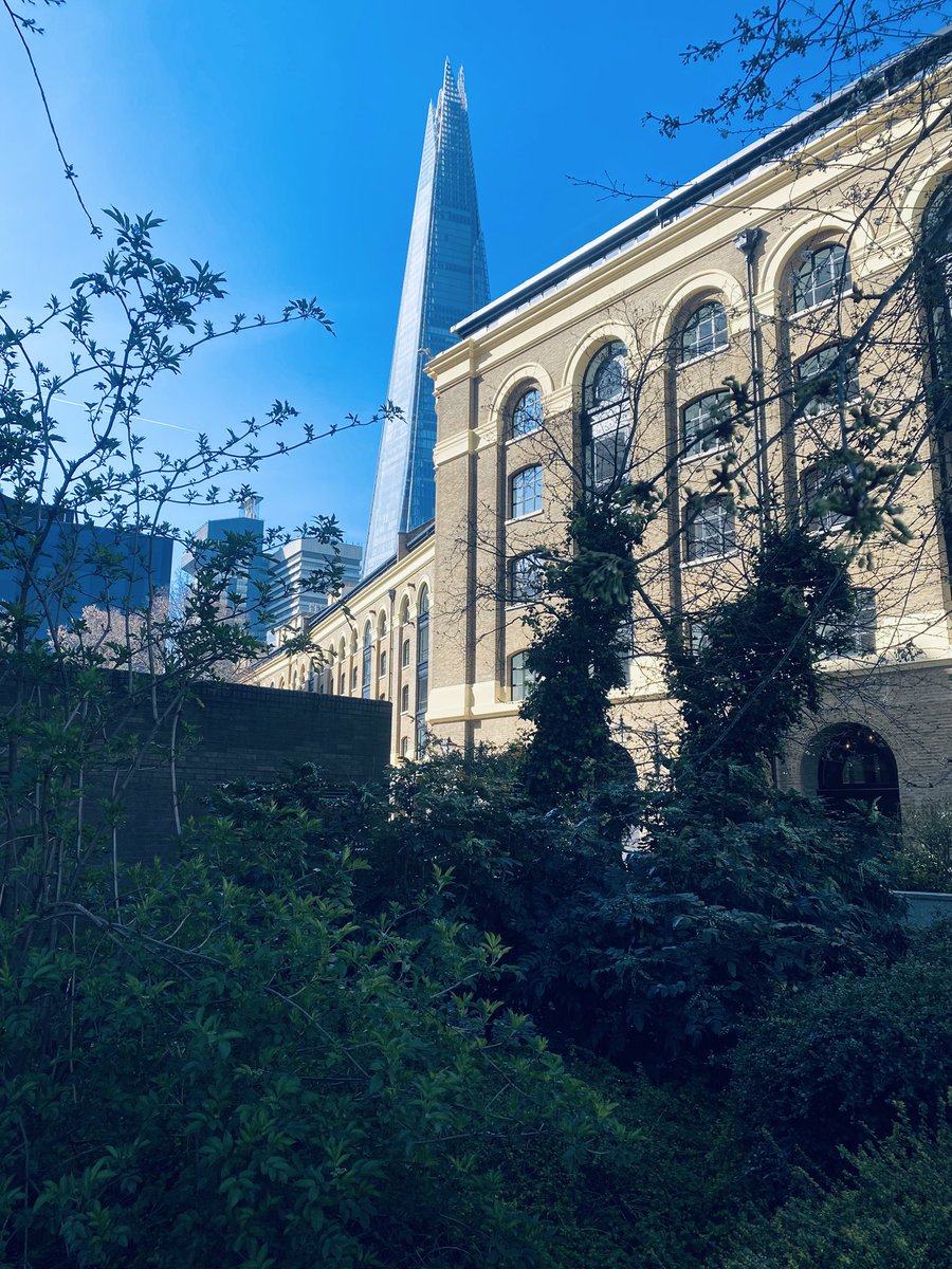 M███ tweet media