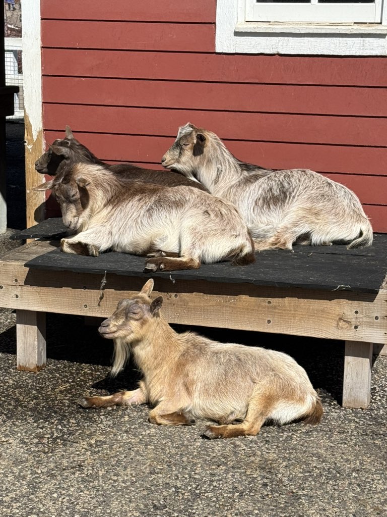 Tyler Strickland tweet media