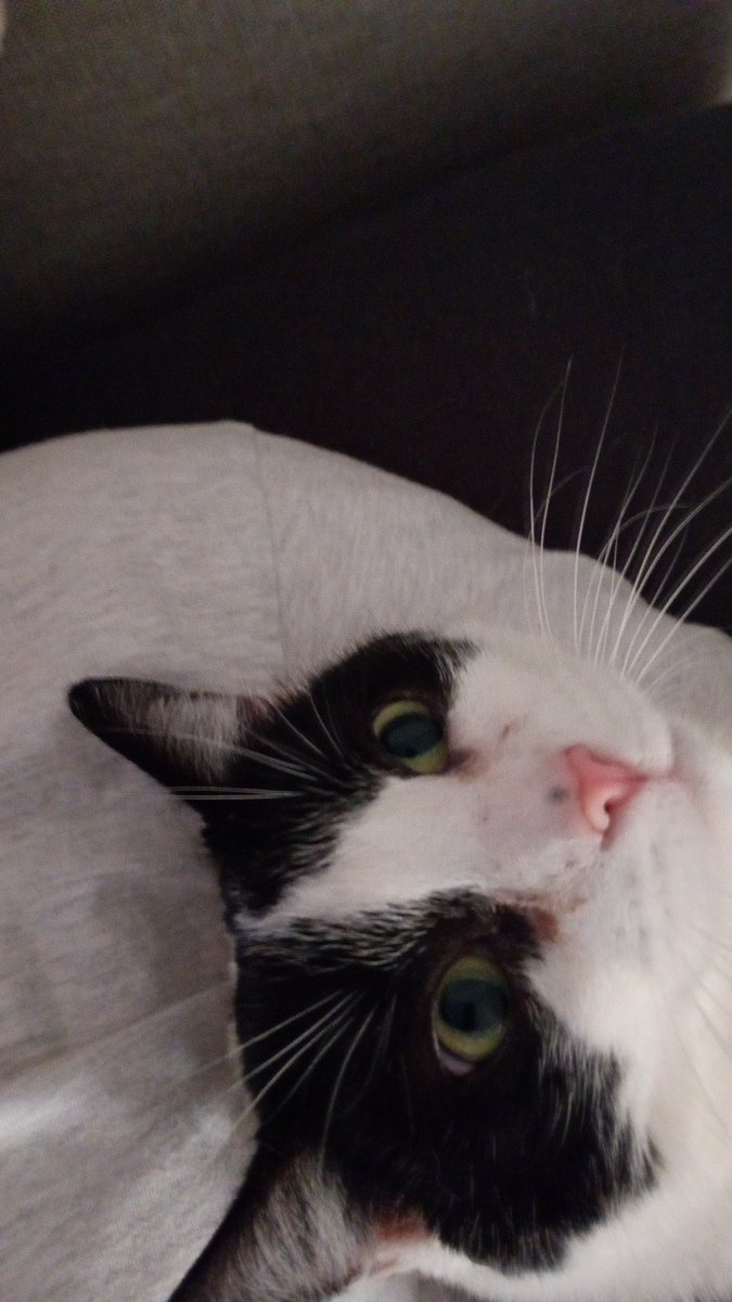 Burkhard Fitz tweet media