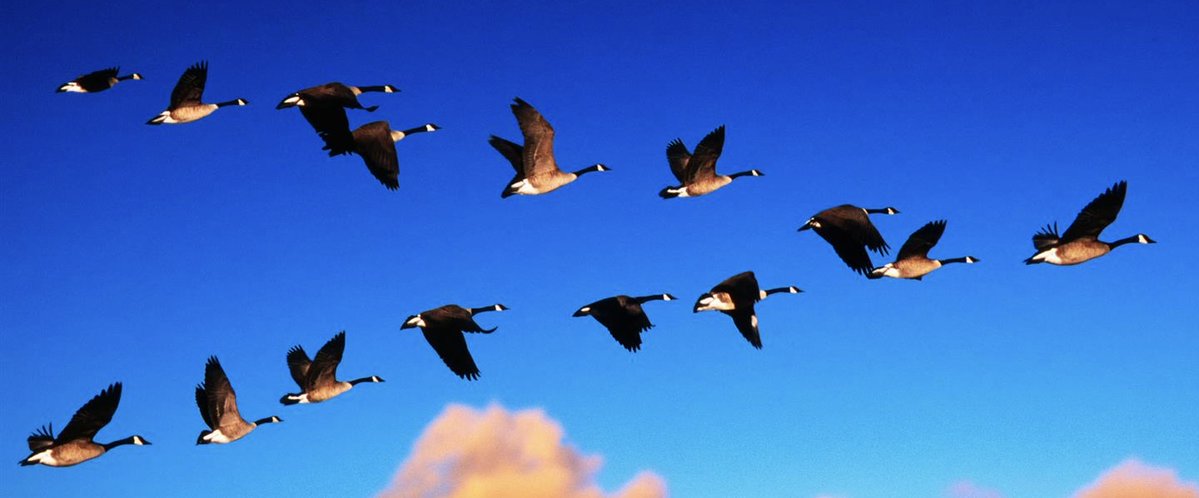 John P. Flannery tweet media