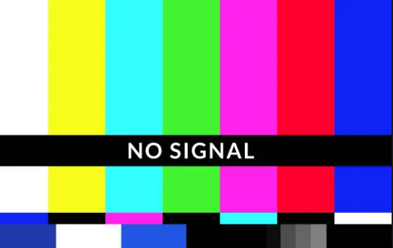 Random Guy tweet media