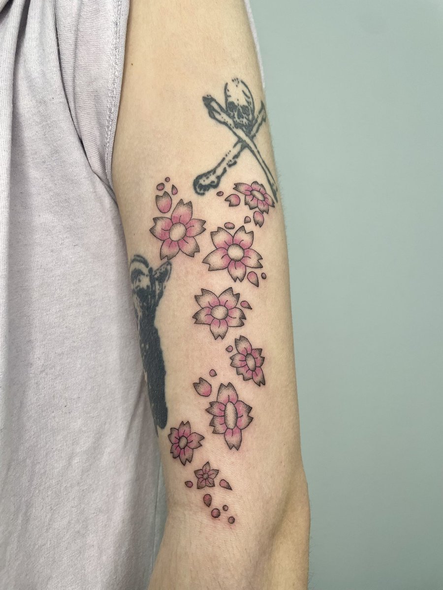 hatsune mimi 🐭 tweet media