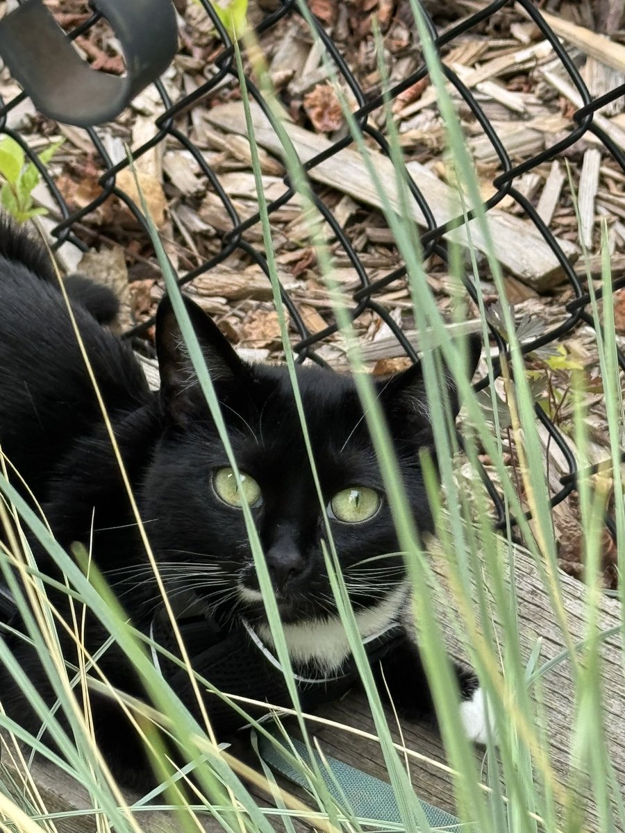 Stephen J Wakeman tweet media