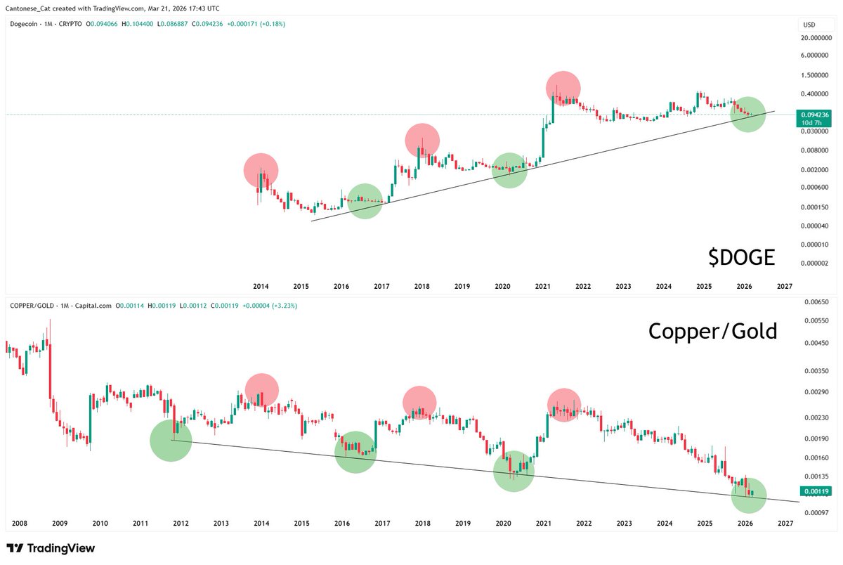 Cantonese Cat 🐱🐈 tweet media
