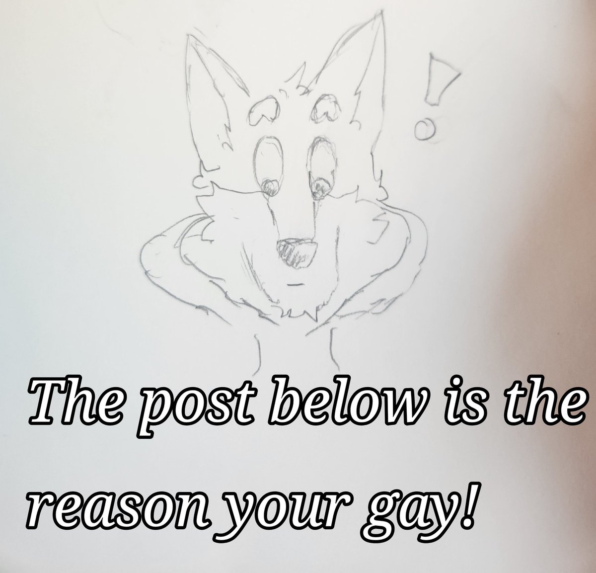 🐺 Shane Fluff 🎨 tweet media