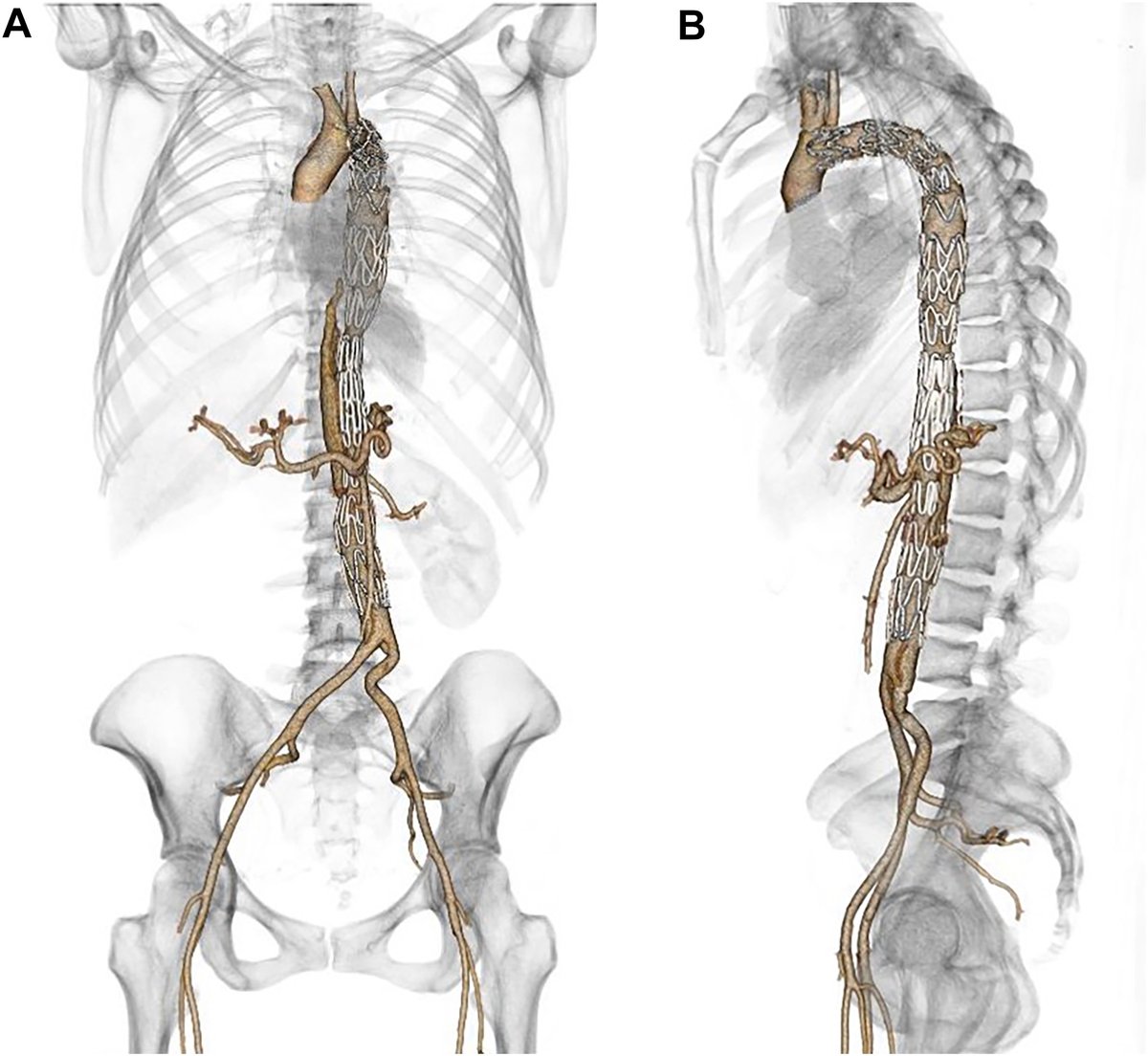 Robbie Aru, M.D. tweet media