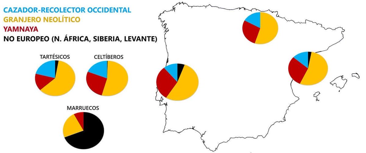 Sergi Invictus tweet media