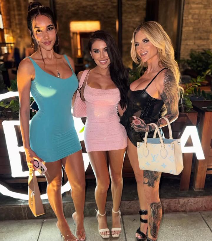 V. I. O. L. E. T B. R. A. N. D. A. N. I tweet media