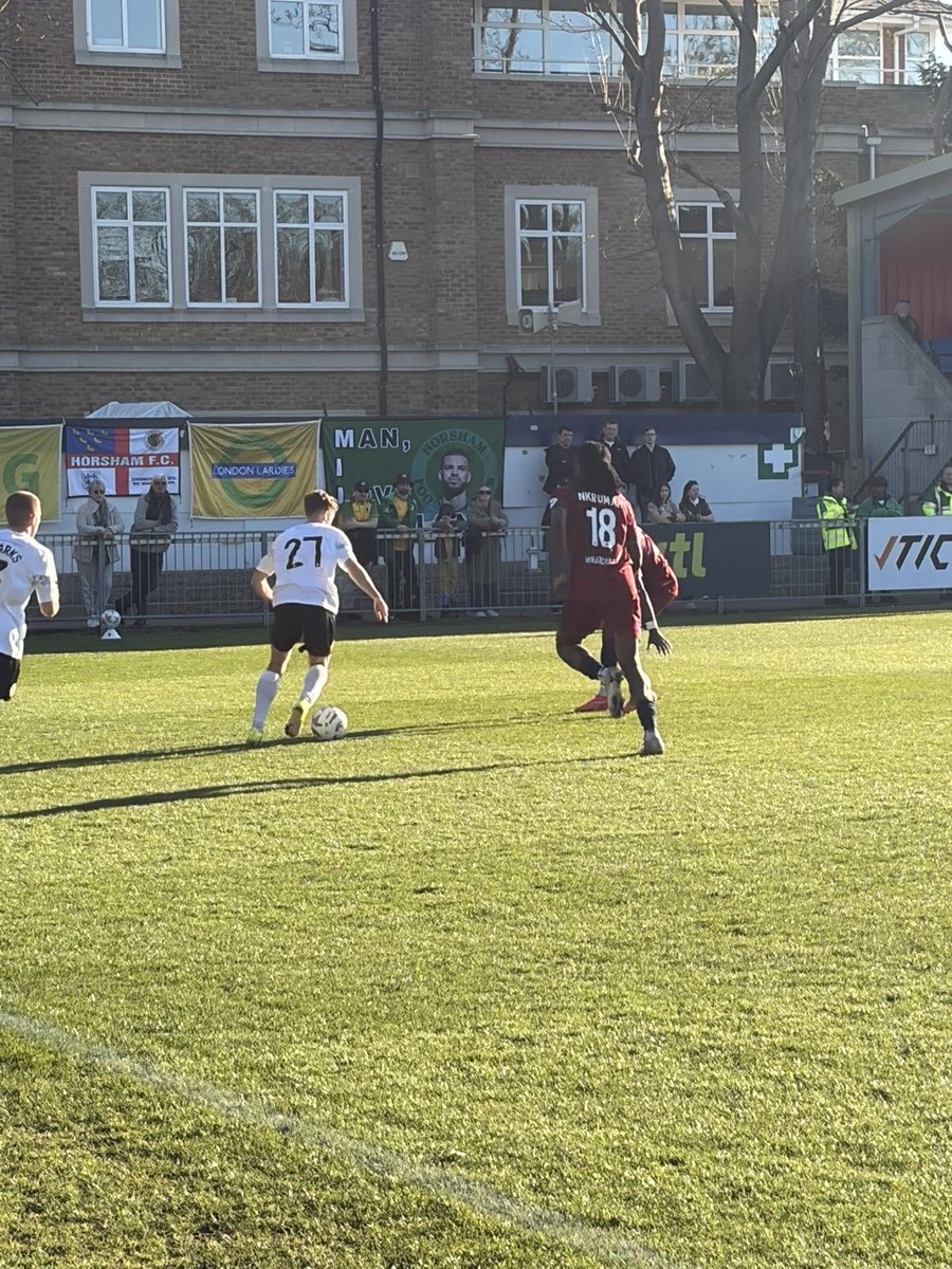 Harry Hedges tweet media