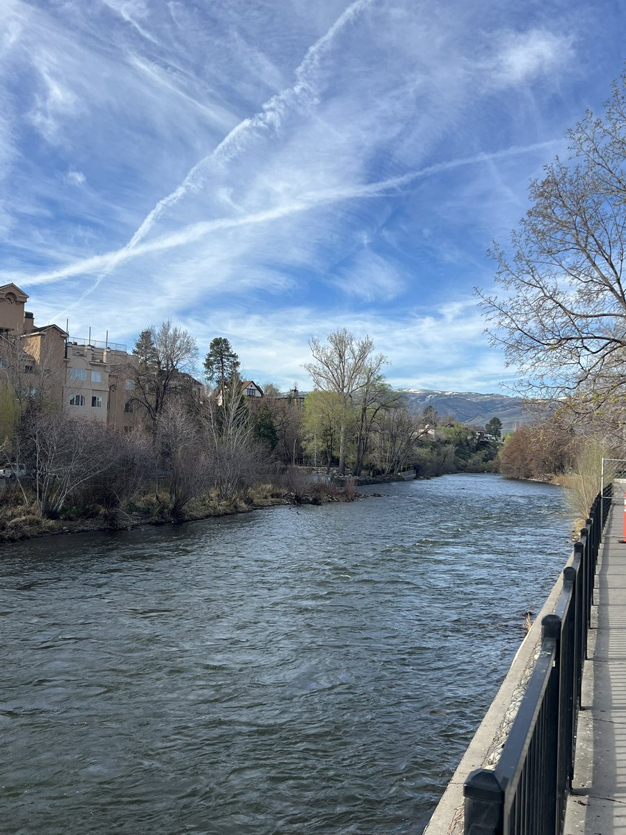 Montana Ross tweet media