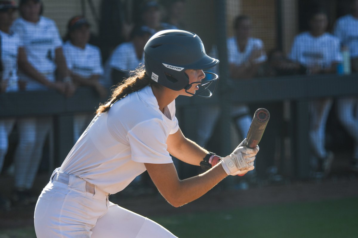 PBA Sailfish tweet media