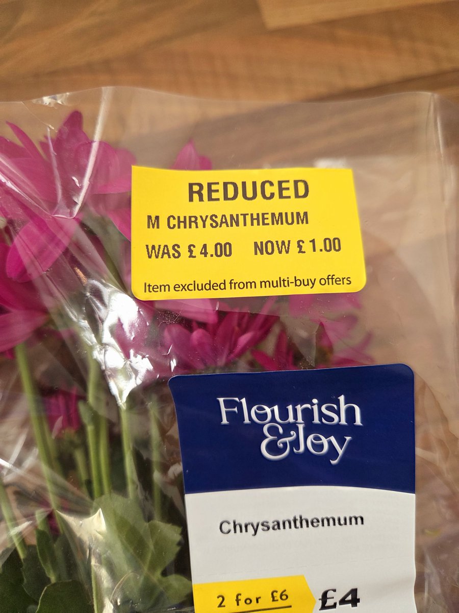 ✨️Spoop✨️ tweet media