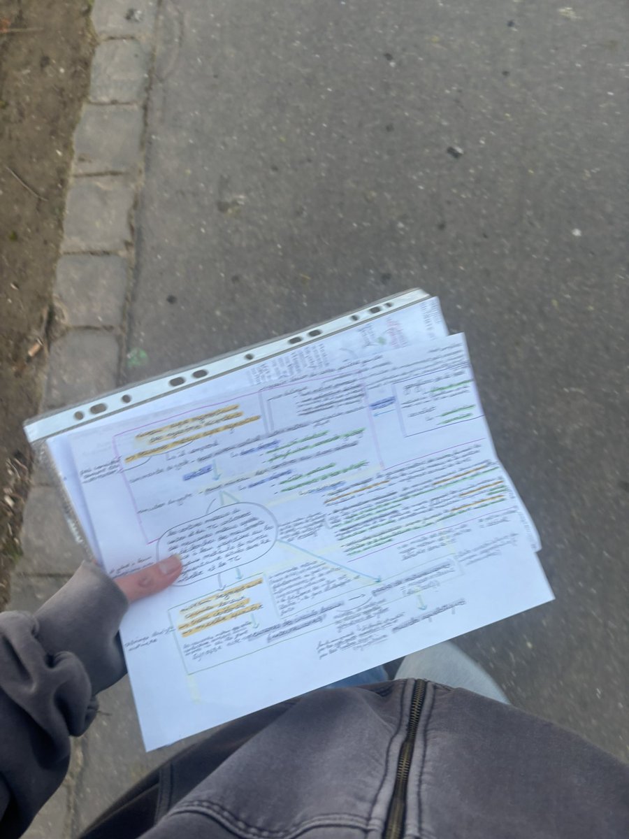 chl𖦹é tweet media