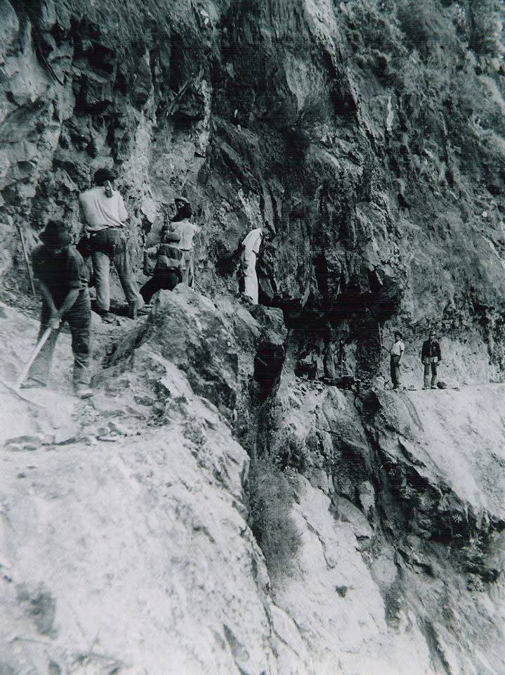 Madeira Island / Ilha da Madeira tweet media