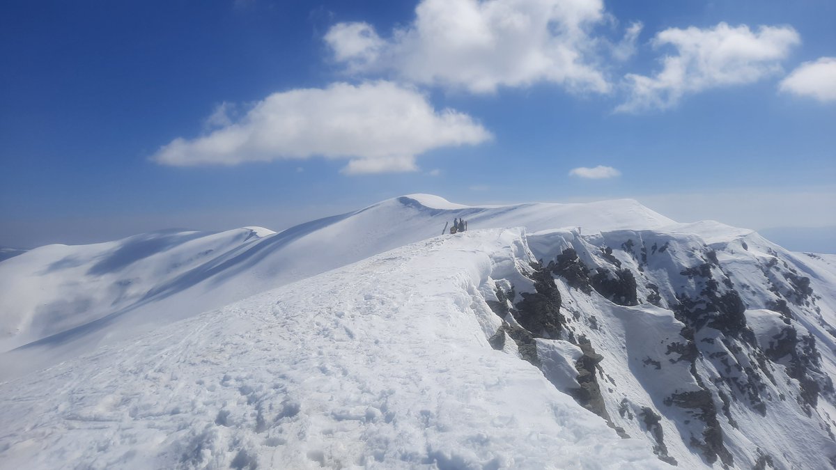 Picas&Malagarriga tweet media