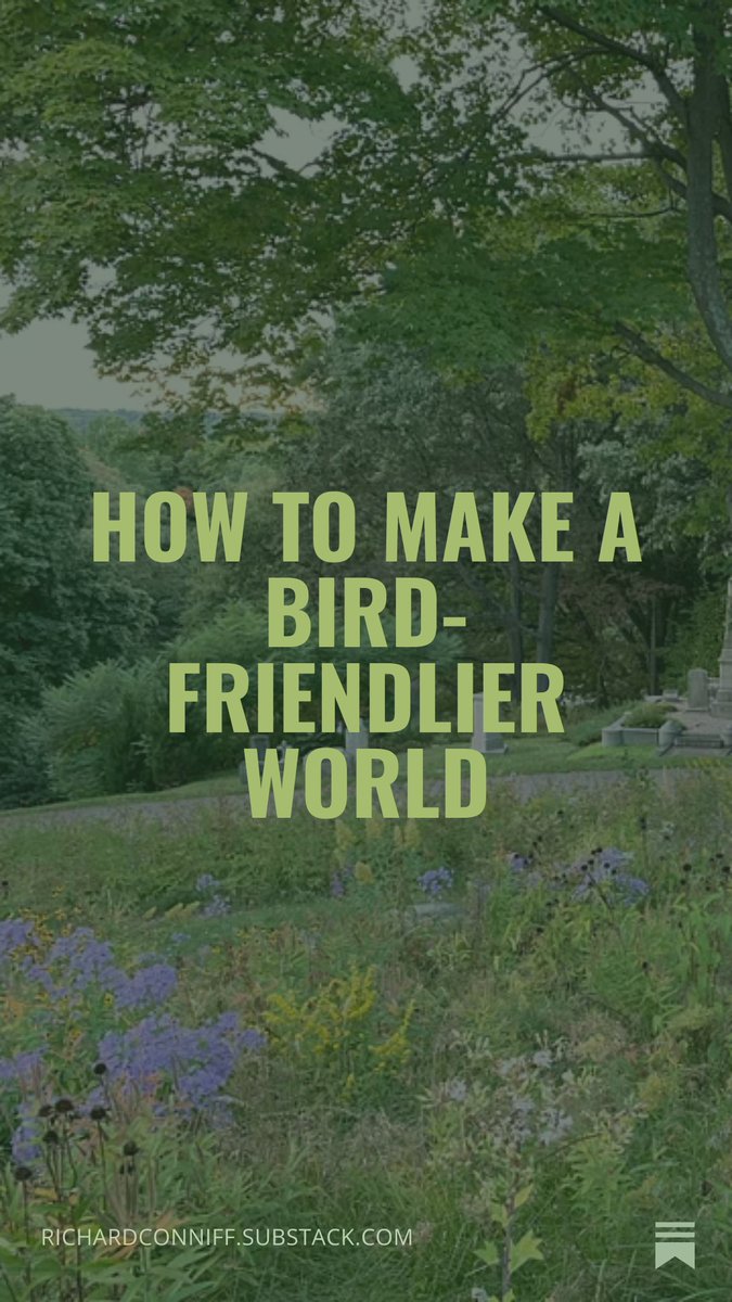 Richard Conniff tweet media