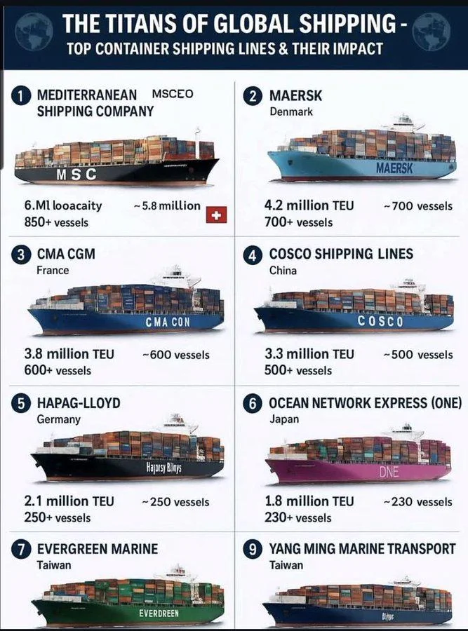 Jack Prandelli tweet media