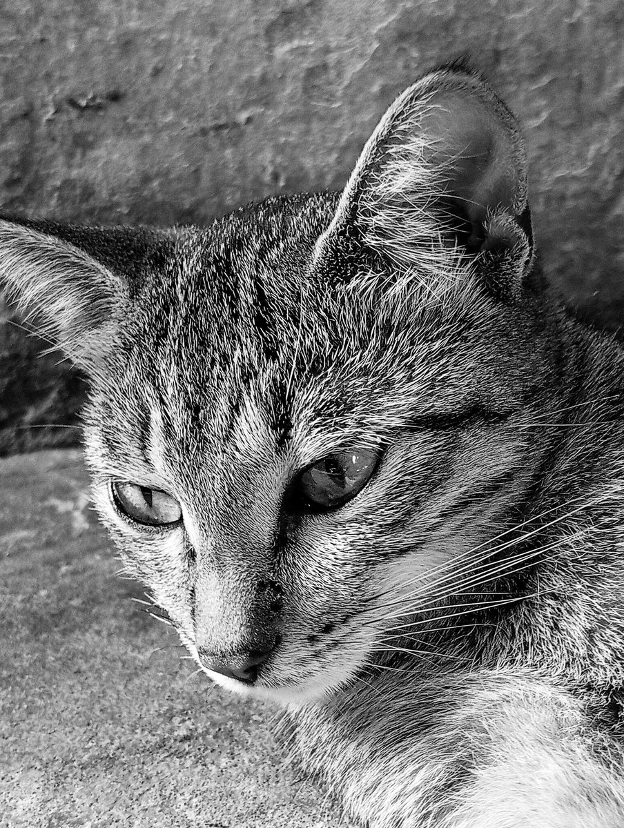 barrywhyte 📸 tweet media