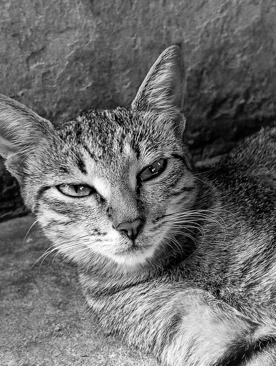 barrywhyte 📸 tweet media