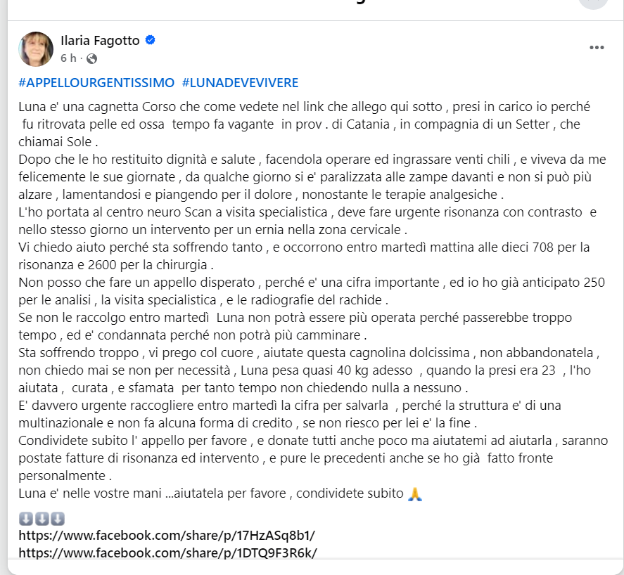Qua la Zampa tweet media