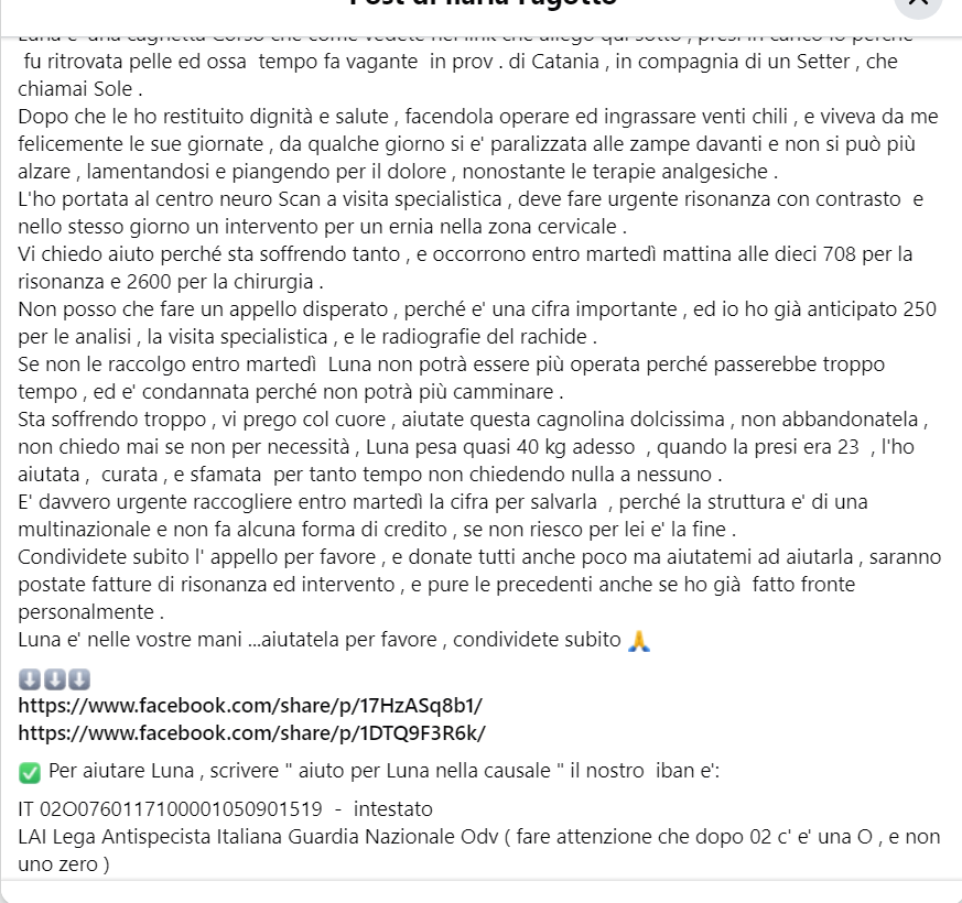 Qua la Zampa tweet media