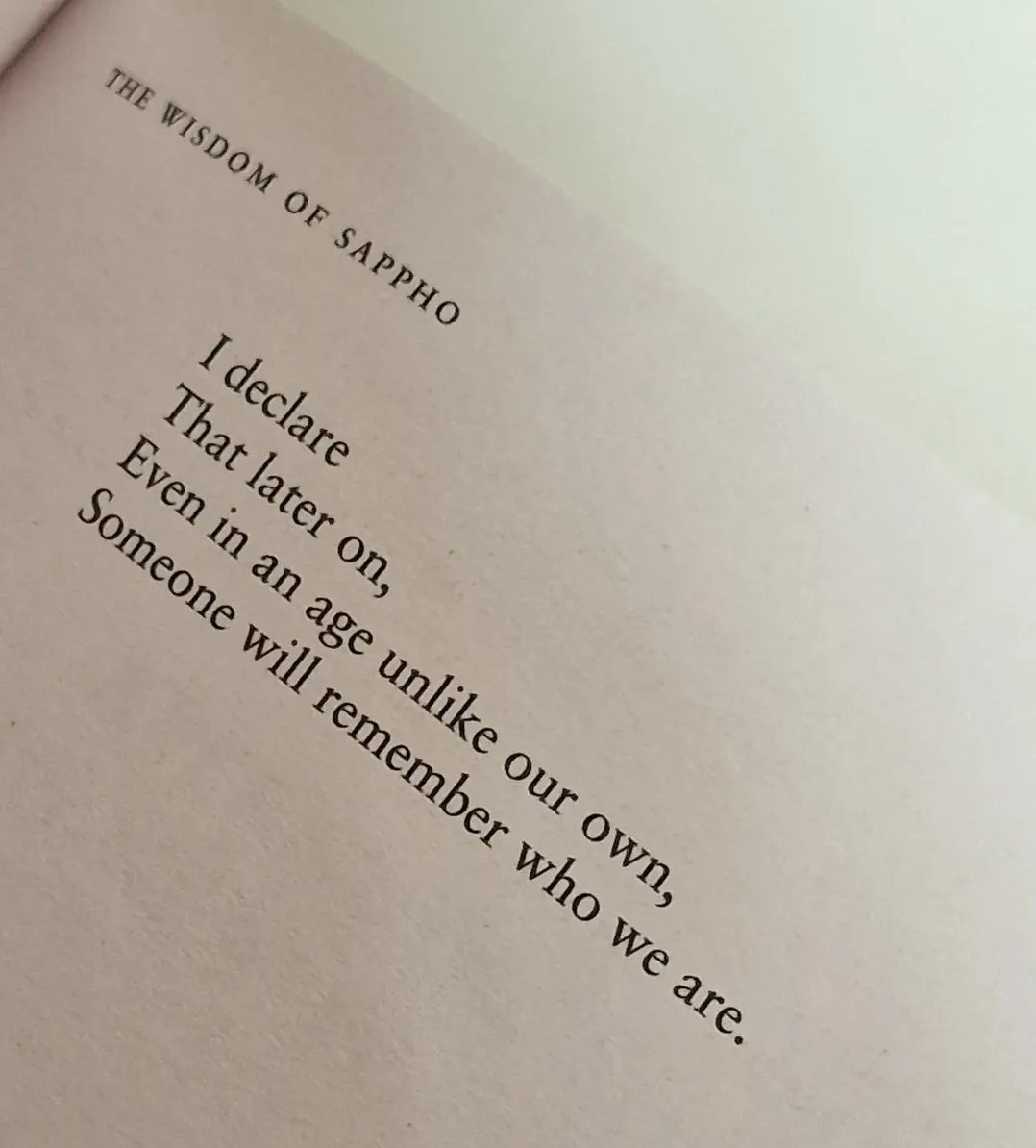 rose ⚢ tweet media