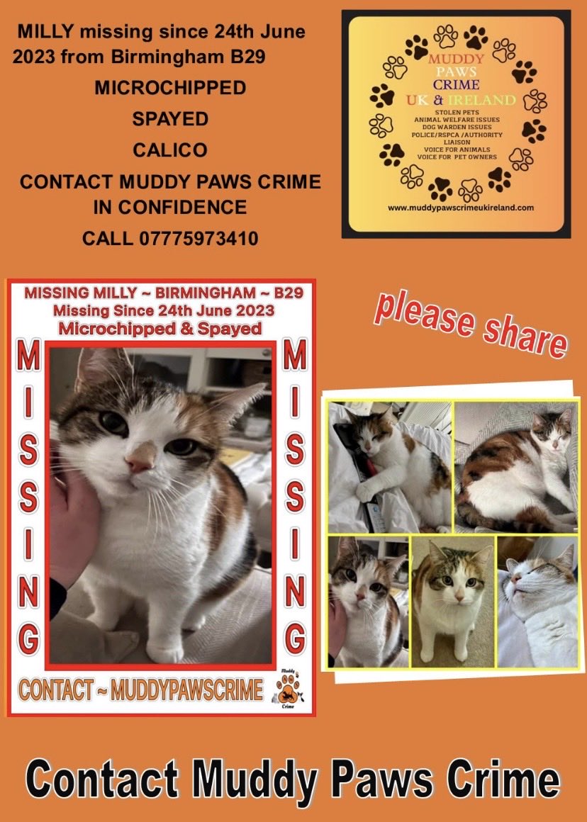 Karen Hall tweet media