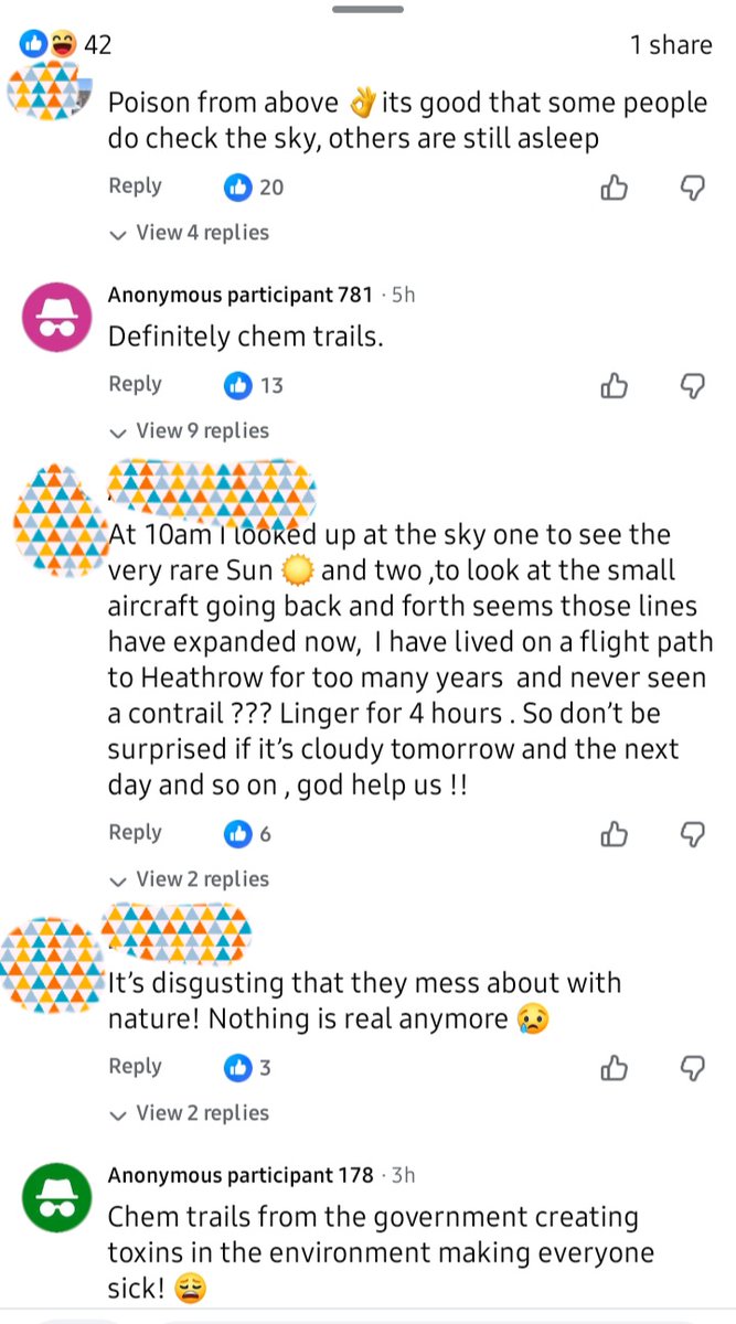 Kat the cat sitter (she/her)💜🌈 tweet media