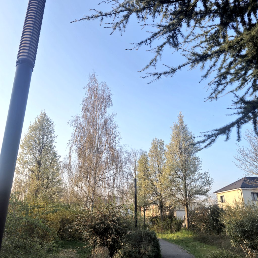 Nadia BENAMARA tweet media